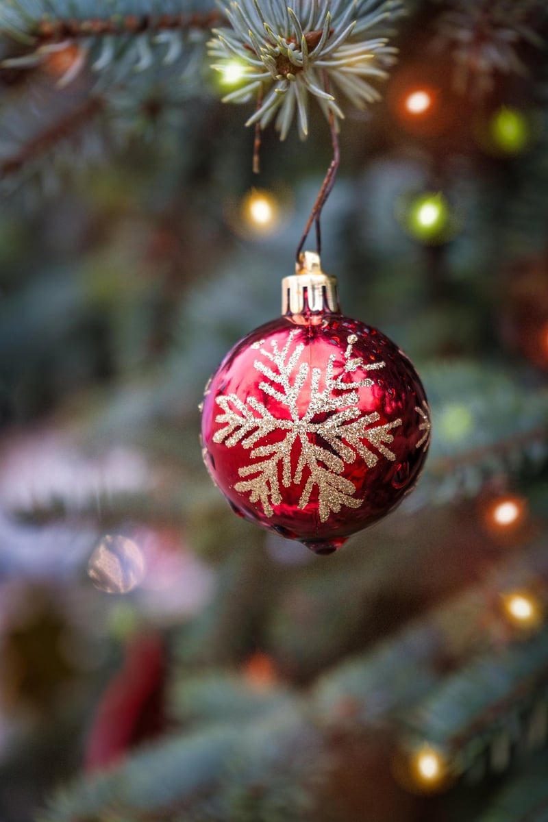 Fairy Lights and Twinkling Trees